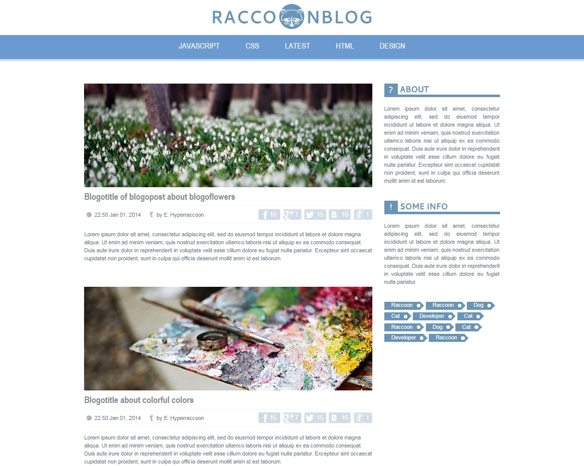 Racoon blog